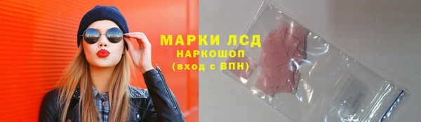 прущий лед Инсар
