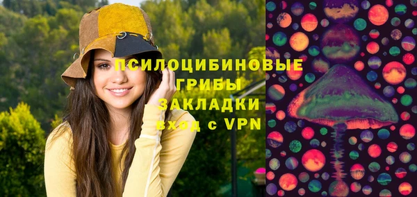 стафф Зерноград