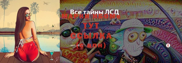 прущий лед Инсар