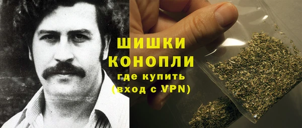 трава Инта