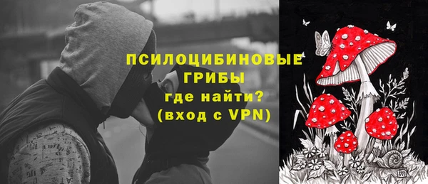 прущий лед Инсар