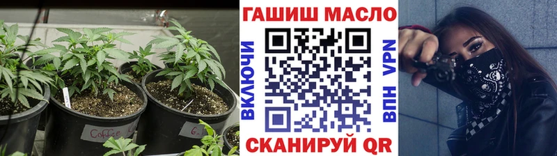 Купить где  Верещагино  ТГК концентрат 