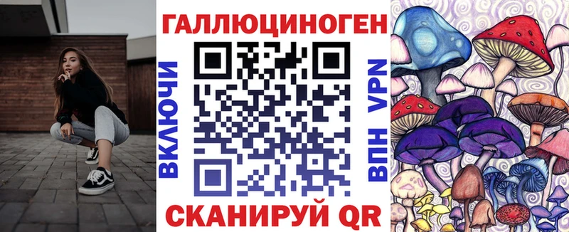 Купить где  Верещагино  Галлюциногенные грибы Psilocybe 